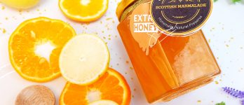 snapgrapher selai jeruk